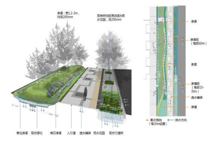 十堰恐龍化工介紹海綿城市道路施工結(jié)構(gòu)圖！請看下文